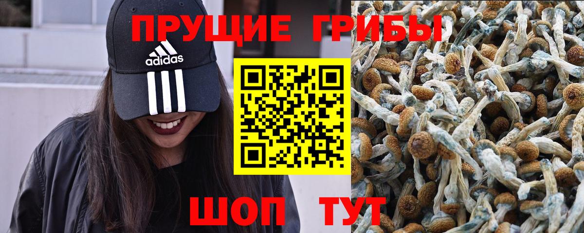 Псилоцибиновые грибы прущие грибы Ханты-Мансийск
